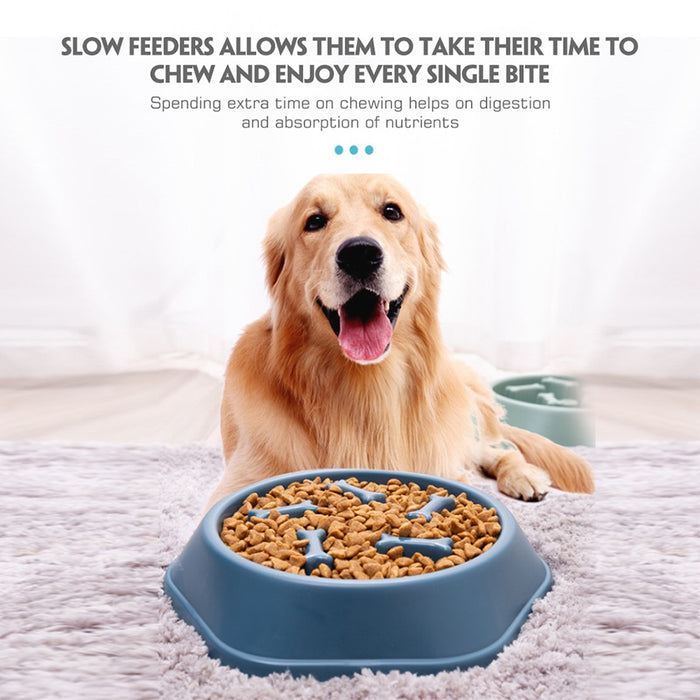 Pets Slow Feeder Bowl / Bone-shaped Bowl freeshipping - JOSEPH&CASEY