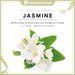 150ML Botanical Aromatherapy freeshipping - JOSEPH&CASEY